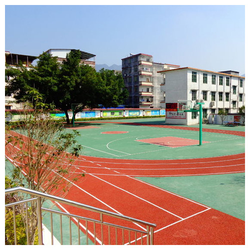 海南雷公坑小学复合型塑胶跑道